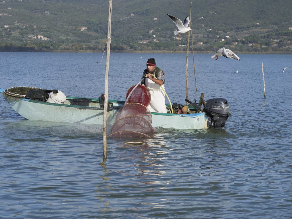 Lago Trasimeno