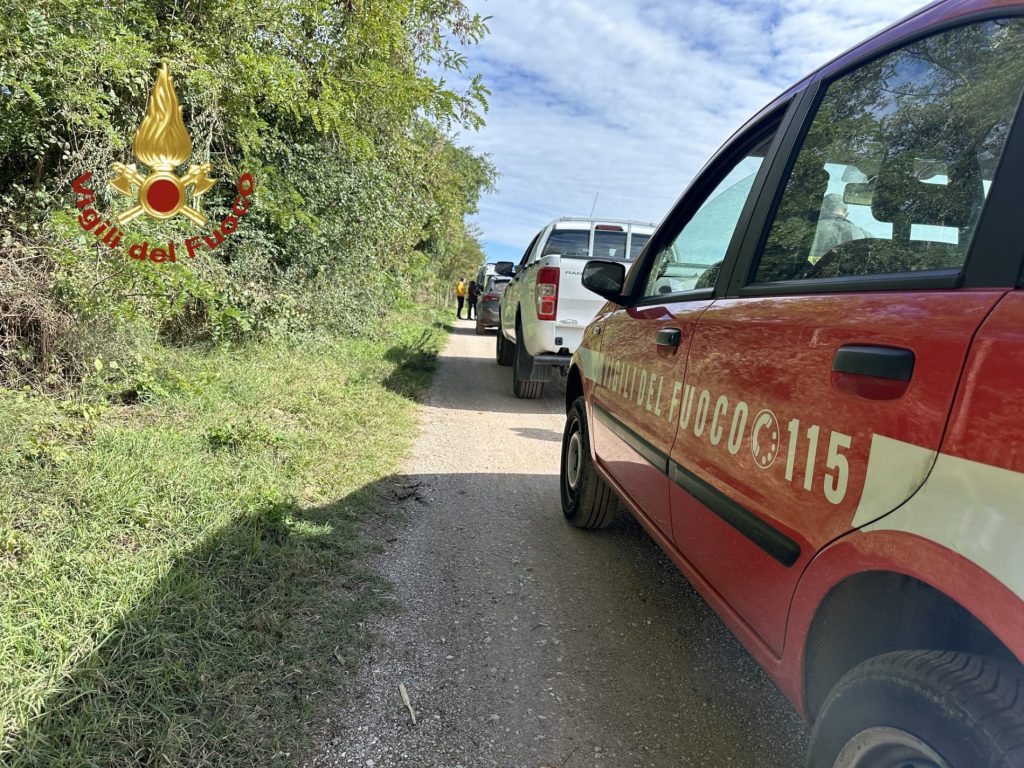 Vigili del fuoco