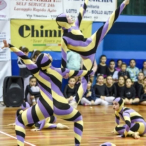 Opes Gym 2018