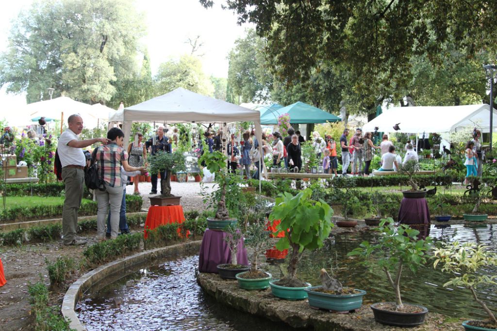 Perugia Flower Show 2025