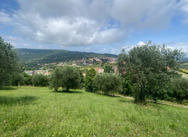 Parco di Montegrillo (3)